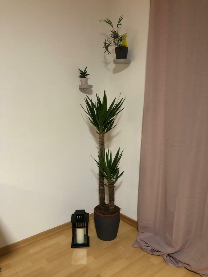 Modernes Neustadt Apartament *